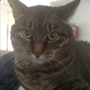 Meet your Posher, Lara